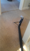 Auto Cleanses does a quality clean for your domestic or commercial clean for your carpet. Pic 3