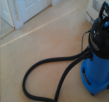Auto Cleanses does a quality clean for your domestic or commercial clean for your carpet. Pic 4